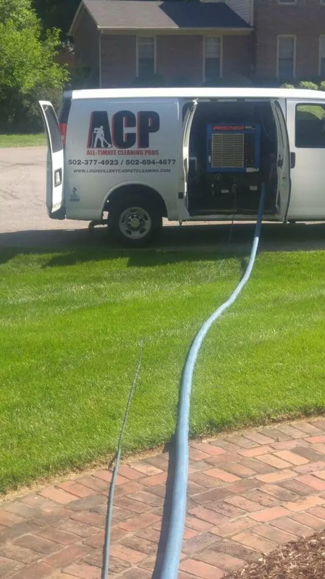 All-Timate Cleaning Pros