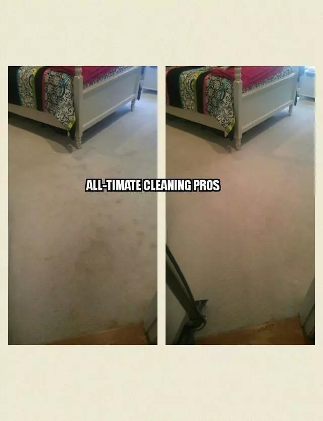 All-Timate Cleaning Pros