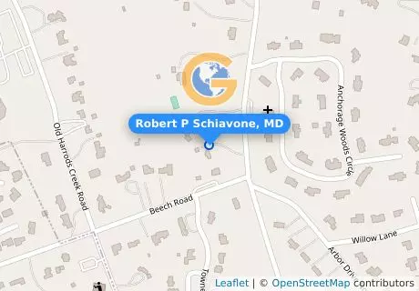 Robert P Schiavone, MD