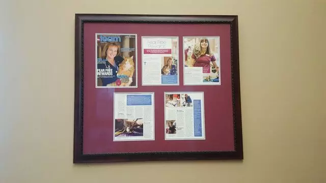 Animal Medical Center of Middletown
