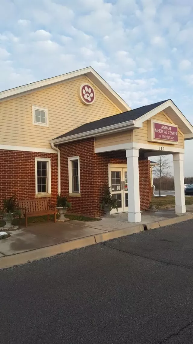 Animal Medical Center of Middletown