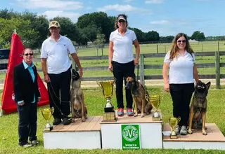 Kentucky Dog Training