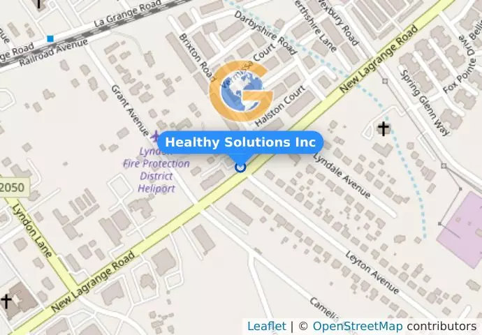 Healthy Solutions Inc