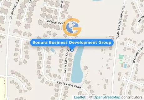 Bonura Business Development Group