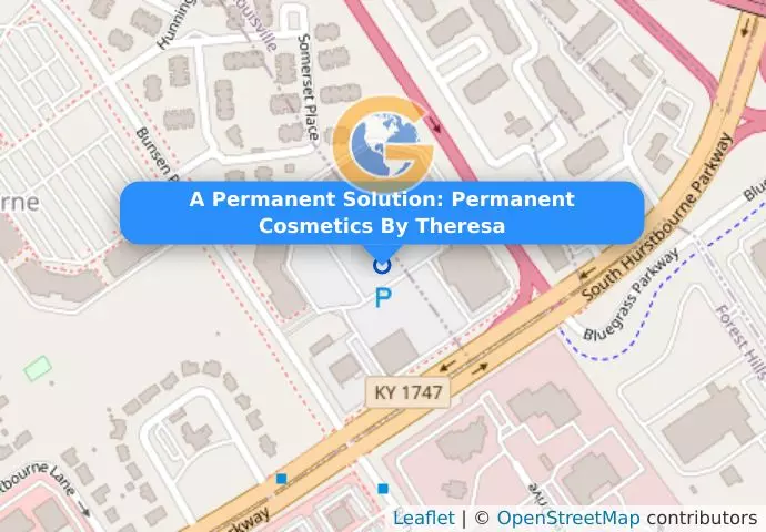 A Permanent Solution: Permanent Cosmetics By Theresa