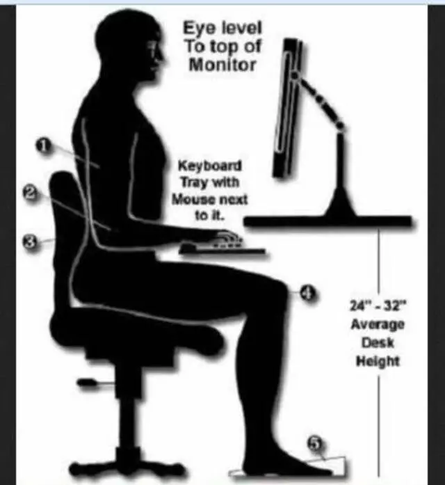 Spine Revitalizer®