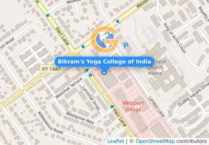 Bikram&apos;s Yoga College of India