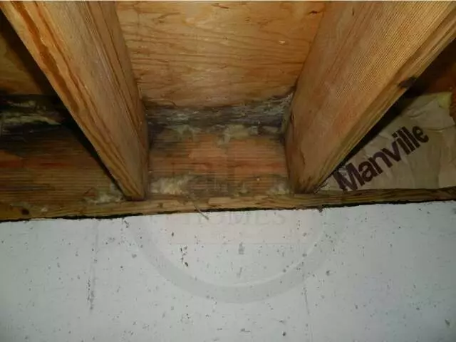 ABI Home Inspection Service