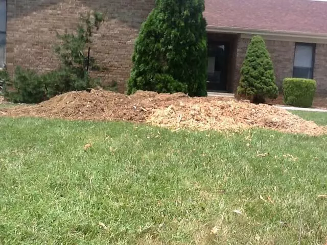 Ace Tree Service