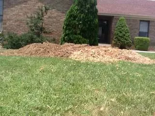 Ace Tree Service