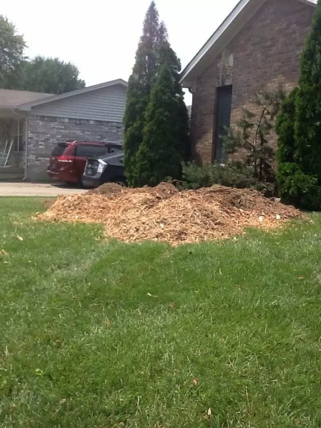 Ace Tree Service