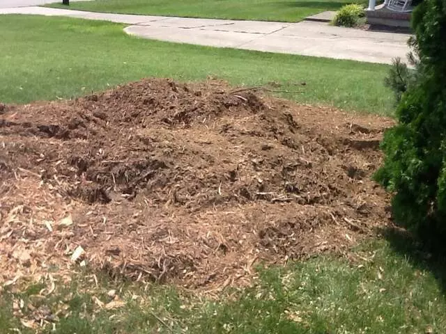 Ace Tree Service