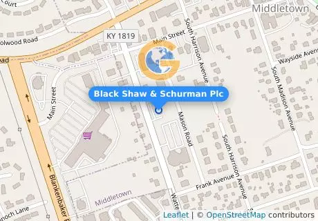 Black Shaw & Schurman Plc