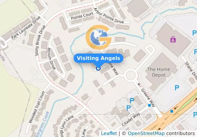 Visiting Angels