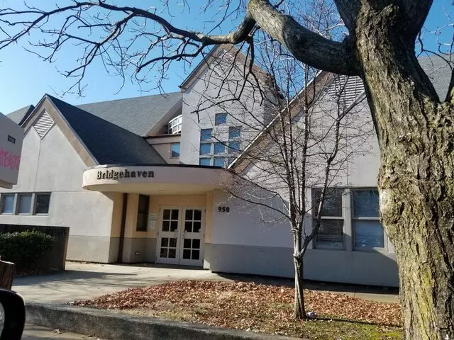 Bridgehaven Mental Health Services