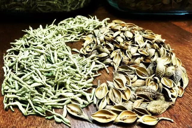 AcuBalance Acupuncture & Integrative Medicine