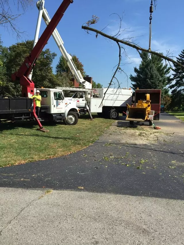 ACME Tree Service