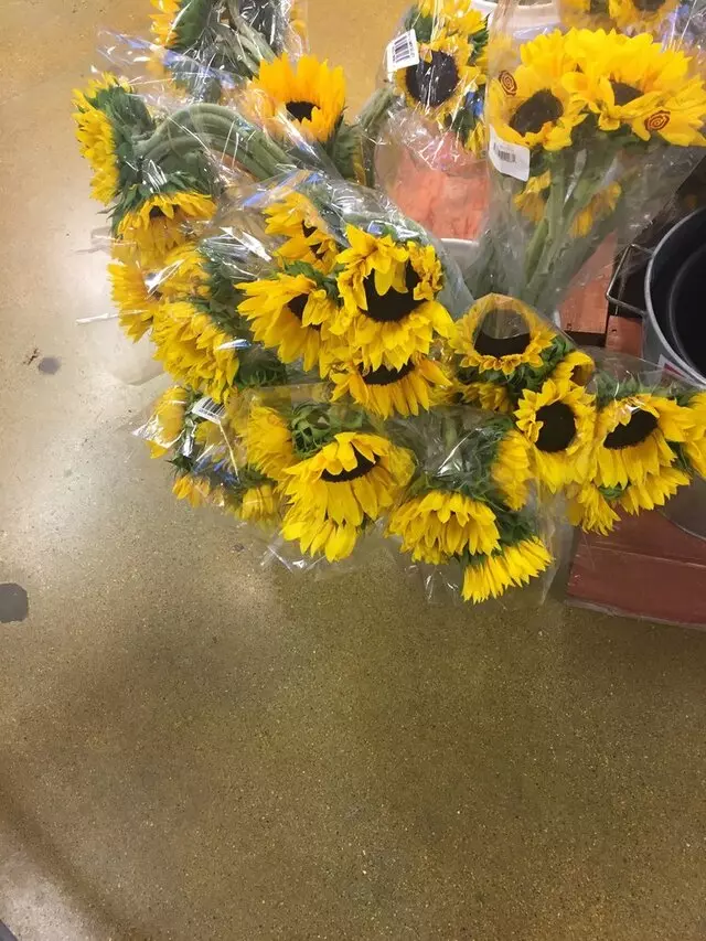 Lucky&apos;s Market