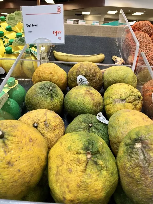 Lucky&apos;s Market
