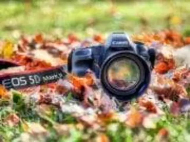 502 Photos