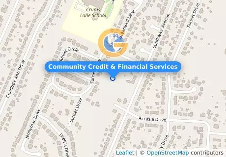 Community Credit & Financial Services