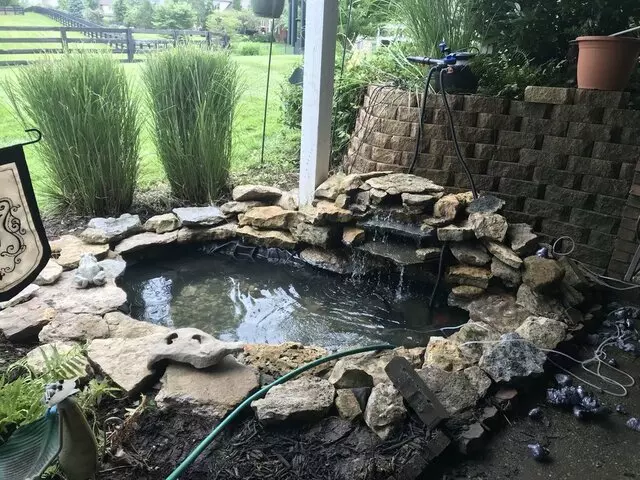 Two Fish