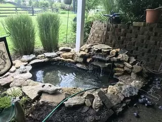 Two Fish