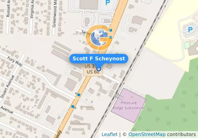 Scott F Scheynost
