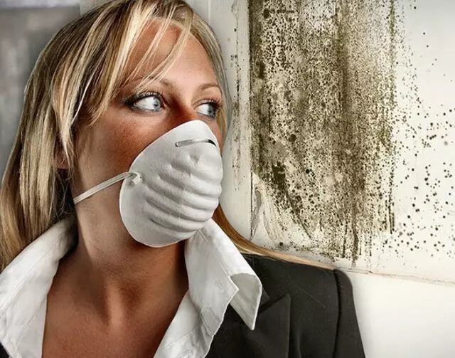 Allergen Control