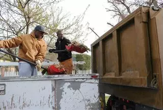 Bootlegger Dumpsters