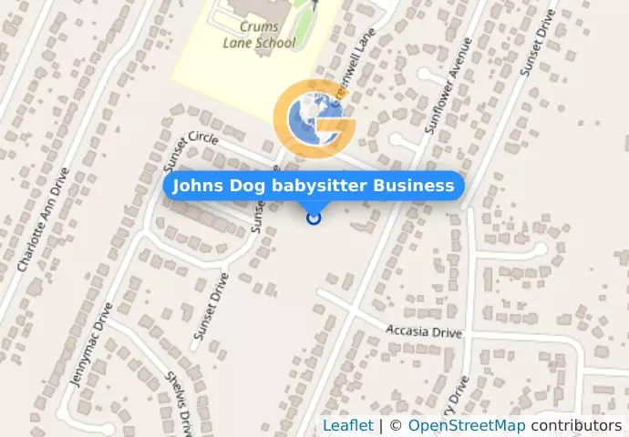 Johns Dog babysitter Business