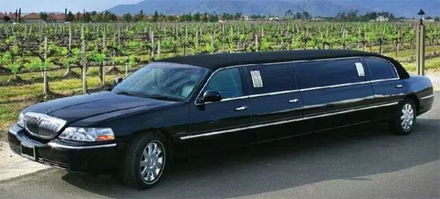 2 Vets And A Limo