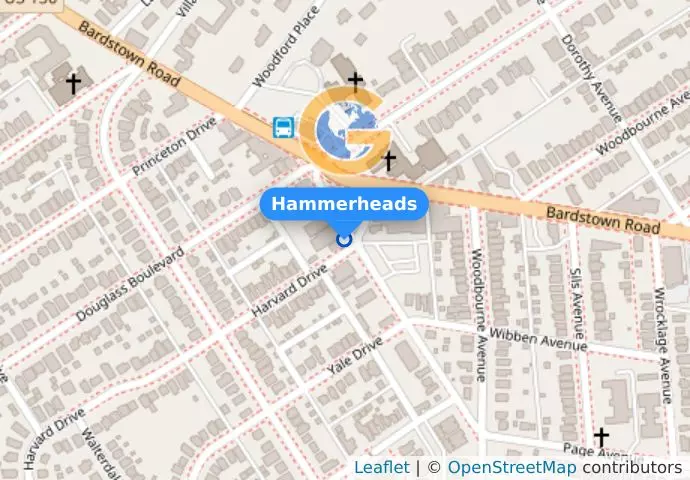 Hammerheads