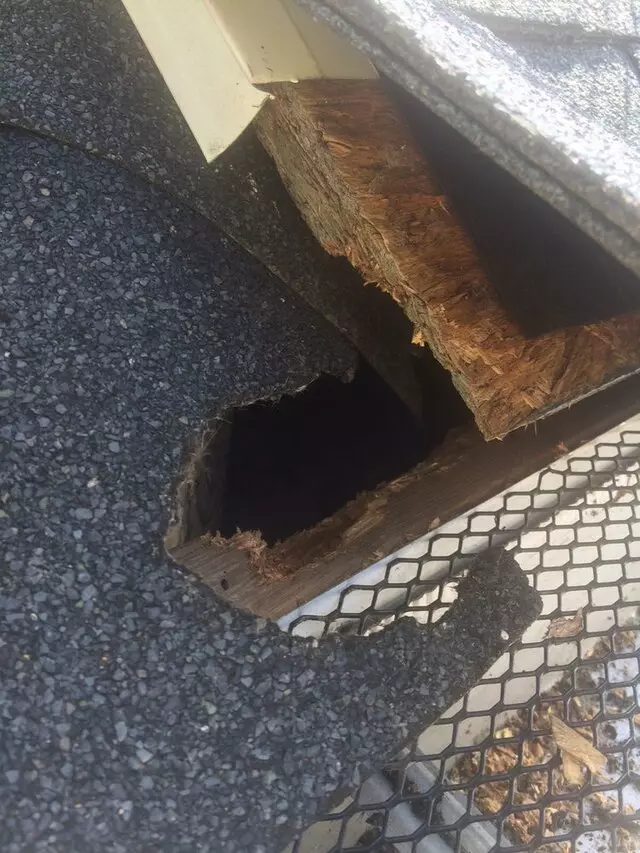 Allen Home Improvement & Roofing