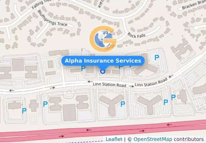 Alpha Insurance Services