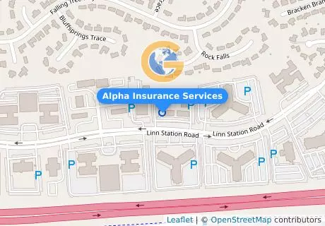 Alpha Insurance Services