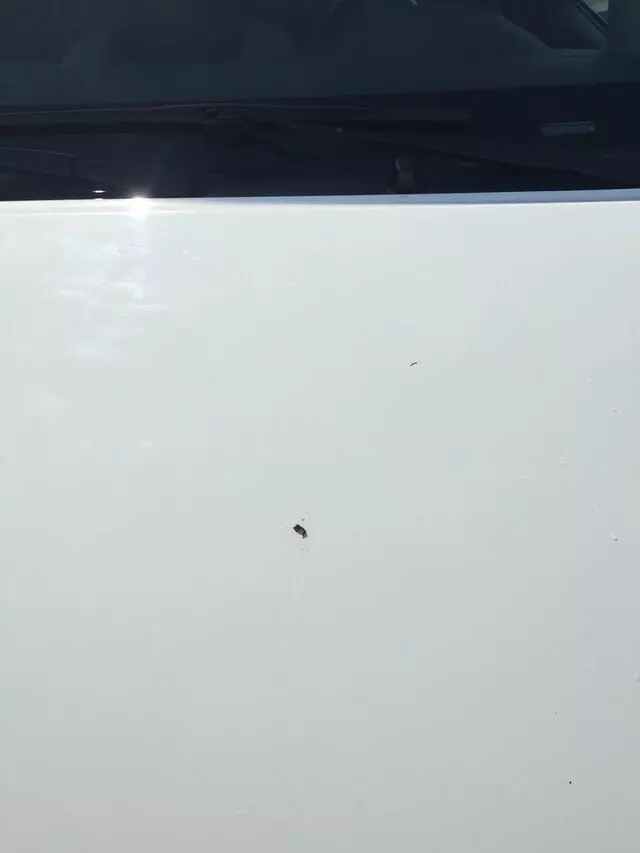 Auto Wash USA