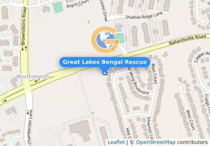 Great Lakes Bengal Rescue
