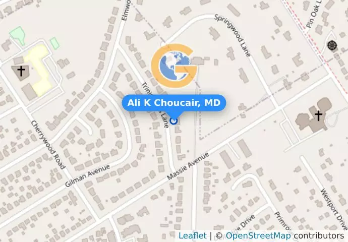 Ali K Choucair, MD