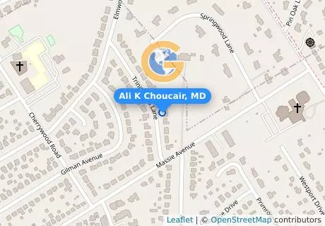 Ali K Choucair, MD
