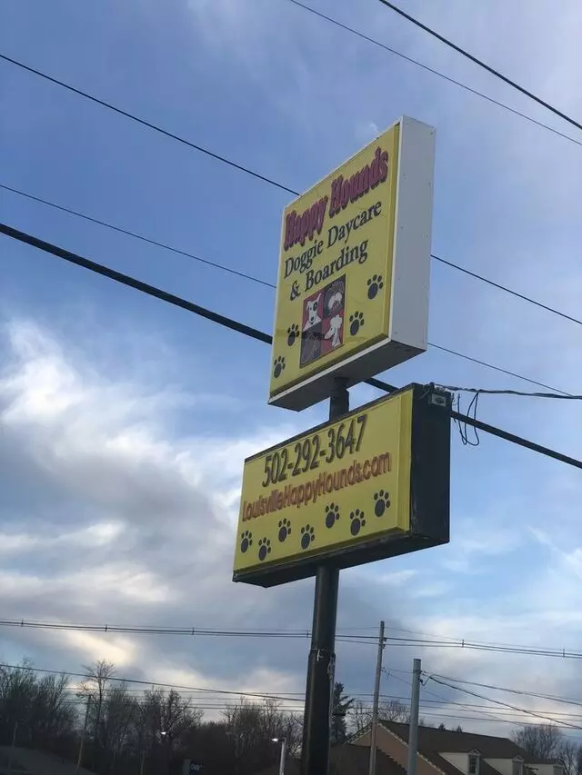 Happy Hounds Doggy Daycare
