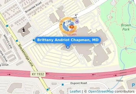 Brittany Andriot Chapman, MD