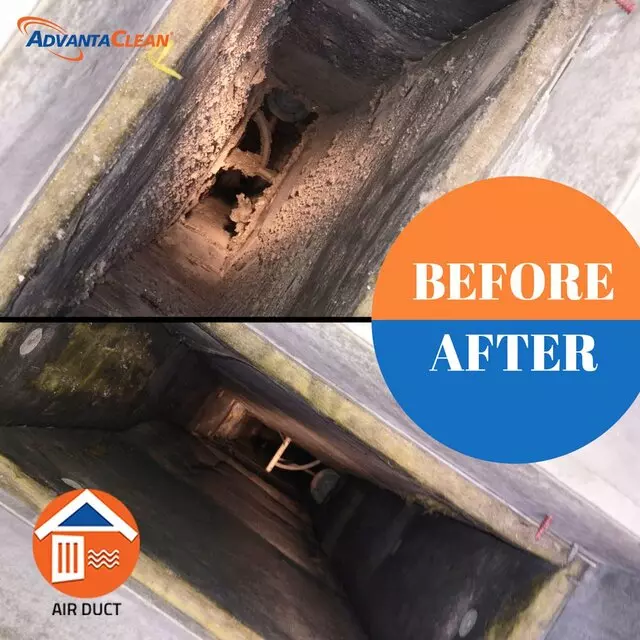 AdvantaClean of East Louisville