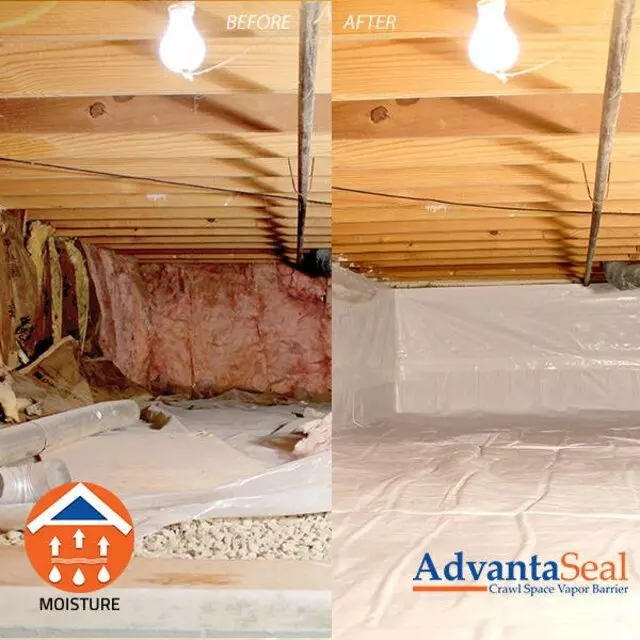 AdvantaClean of East Louisville