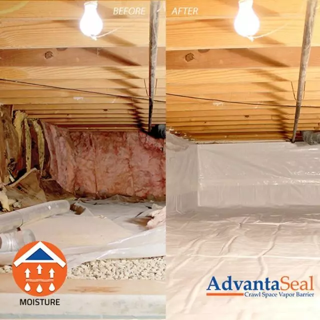 AdvantaClean of East Louisville