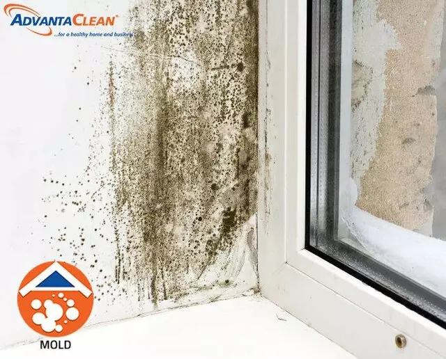 AdvantaClean of East Louisville