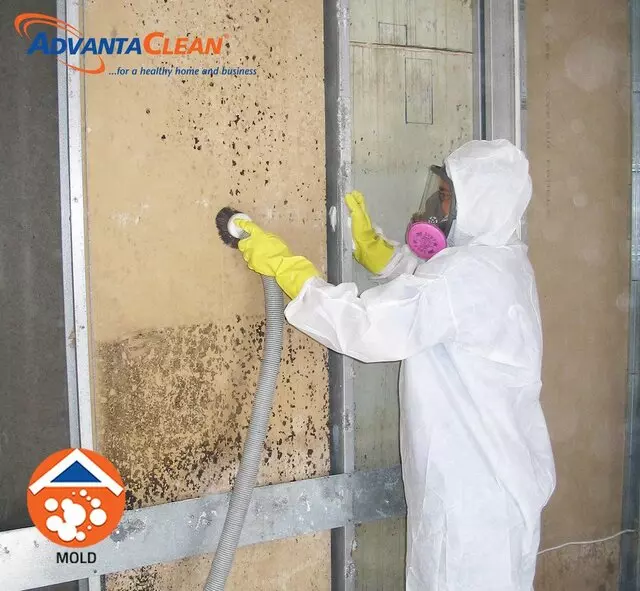 AdvantaClean of East Louisville