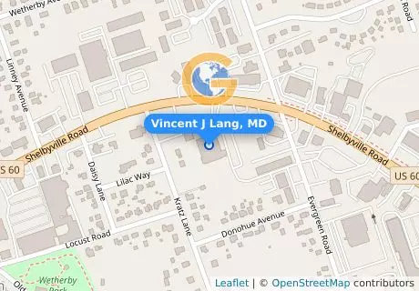 Vincent J Lang, MD