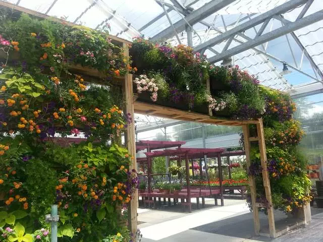 Wallitsch Garden Center