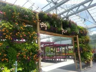 Wallitsch Garden Center